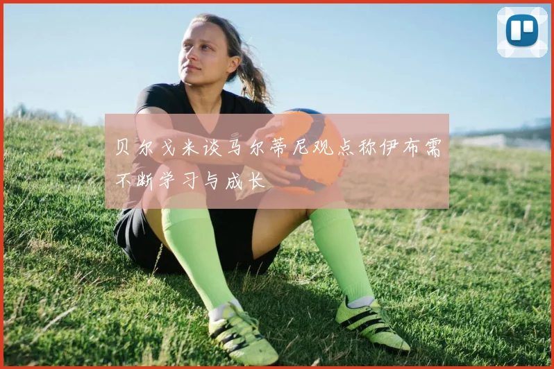 贝尔戈米谈马尔蒂尼观点称伊布需不断学习与成长
